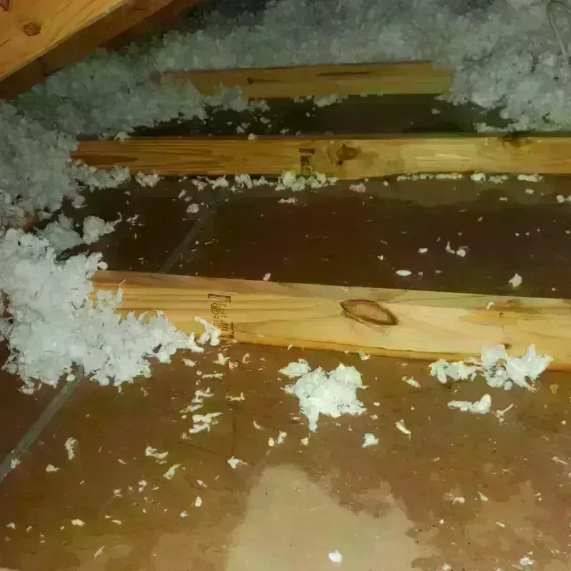 Attic Water Damage in Anson, TX