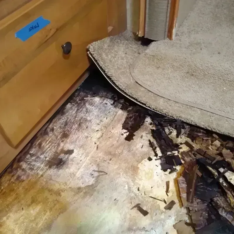 Wood Floor Water Damage in Anson, TX